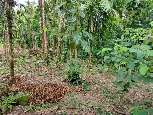 Imagem 2: Lotes a Venda em Morretes