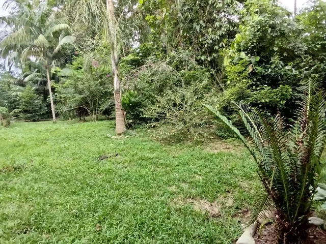Imagem 8: Lotes a Venda em Morretes