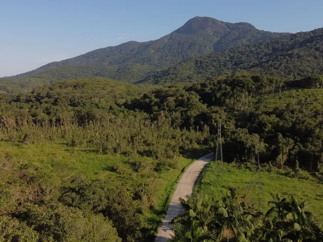 Imagem 9: Chácara no Km 17 Apenas 400 Metros da Br 277 Área de 66.600M² com Escritura e Matricula Proximo a Paranaguá-Pr