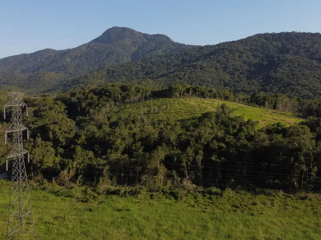 Imagem 16: Chácara no Km 17 Apenas 400 Metros da Br 277 Área de 66.600M² com Escritura e Matricula Proximo a Paranaguá-Pr