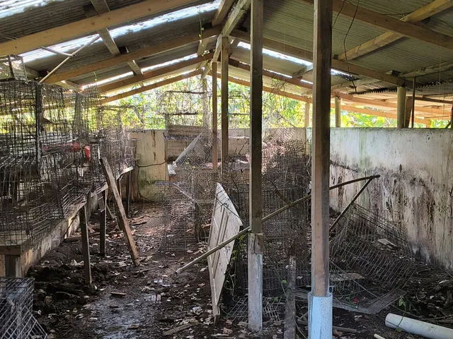 Imagem 13: Chácara no Km 17 Apenas 400 Metros da Br 277 Área de 66.600M² com Escritura e Matricula Proximo a Paranaguá-Pr