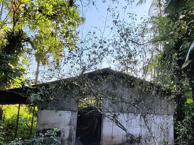 Imagem 12: Chácara no Km 17 Apenas 400 Metros da Br 277 Área de 66.600M² com Escritura e Matricula Proximo a Paranaguá-Pr