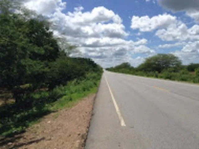 Imagem: FAZENDA para Venda Zona Rural, Floresta