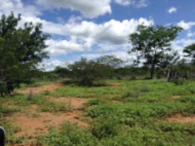 Imagem 7: FAZENDA para Venda Zona Rural, Floresta - PE A 6km do canal da transposição, com 7km