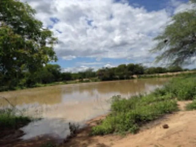Imagem 3: FAZENDA para Venda Zona Rural, Floresta - PE A 6km do canal da transposição, com 7km