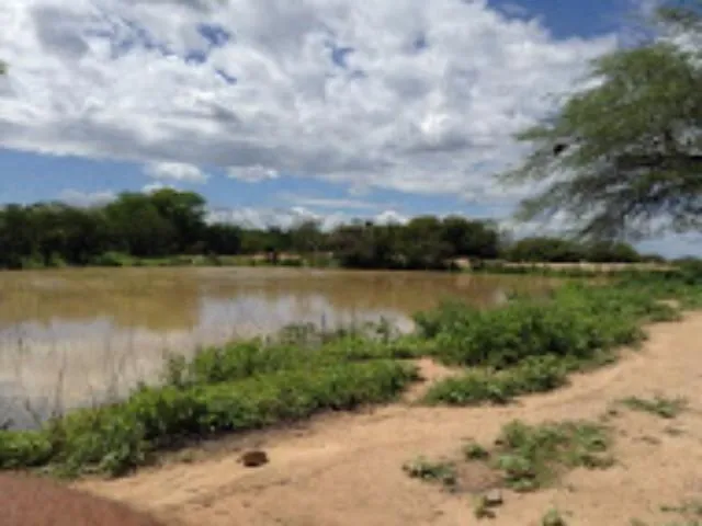 Imagem 8: FAZENDA para Venda Zona Rural, Floresta - PE A 6km do canal da transposição, com 7km