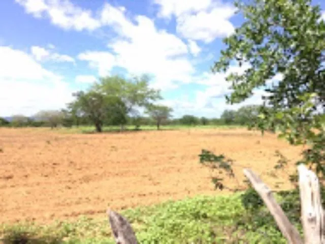 Imagem 4: FAZENDA para Venda Zona Rural, Floresta - PE A 6km do canal da transposição, com 7km