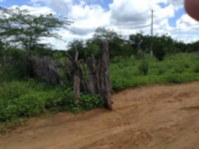 Imagem 2: FAZENDA para Venda Zona Rural, Floresta - PE A 6km do canal da transposição, com 7km