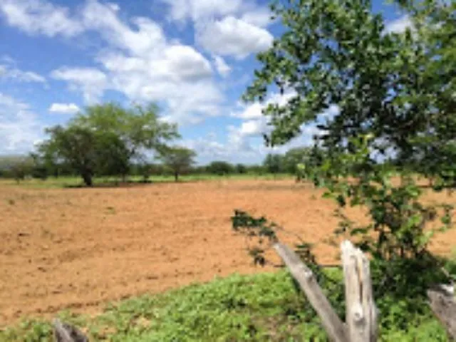 Imagem 5: FAZENDA para Venda Zona Rural, Floresta - PE A 6km do canal da transposição, com 7km