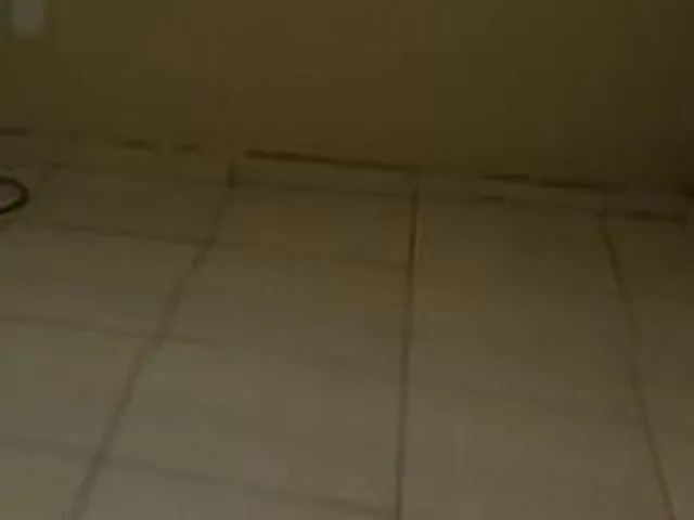 Imagem 5: Casa comercial CENTRO Juazeiro Bahia
