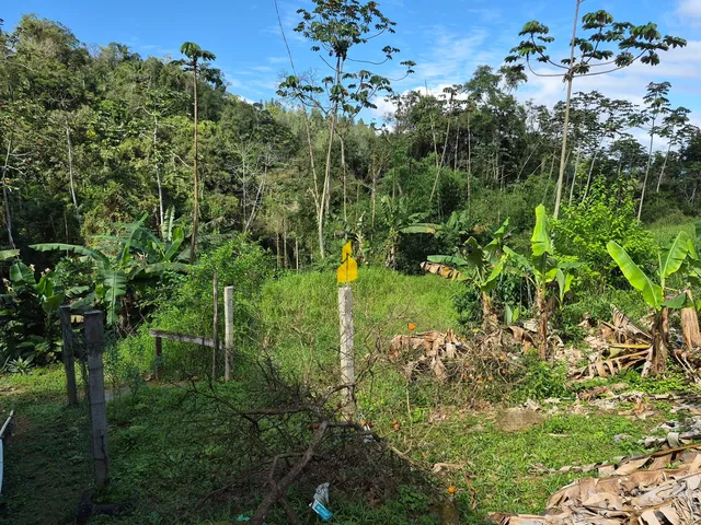 Imagem 8: Sítio escriturado no Centro de Rodeio-SC