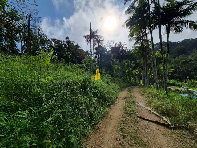 Imagem 12: Sítio escriturado no Centro de Rodeio-SC