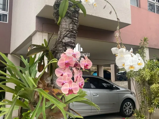 Imagem 16: APARTAMENTO RESIDENCIAL em NATAL - RN, CANDELÁRIA