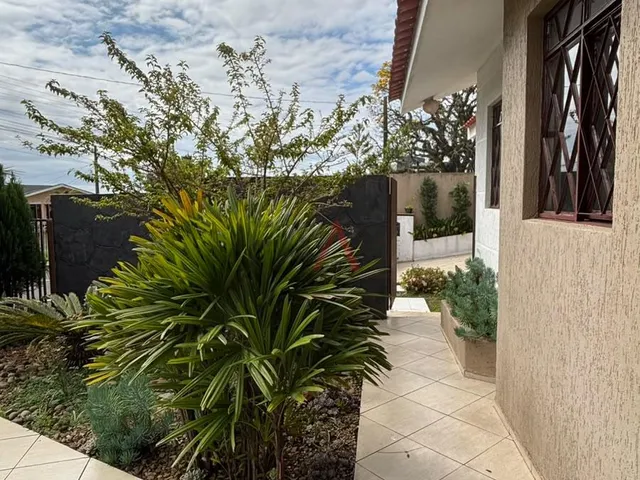 Imagem 2: Casa com 3 dormitórios para locação, MORRO ALTO, GUARAPUAVA - PR