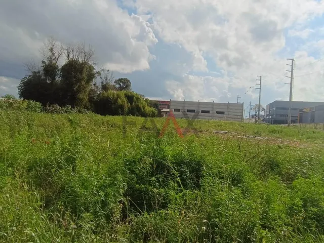 Imagem 4: Terreno à Venda com 3.086 m² no Conradinho com acesso fácil