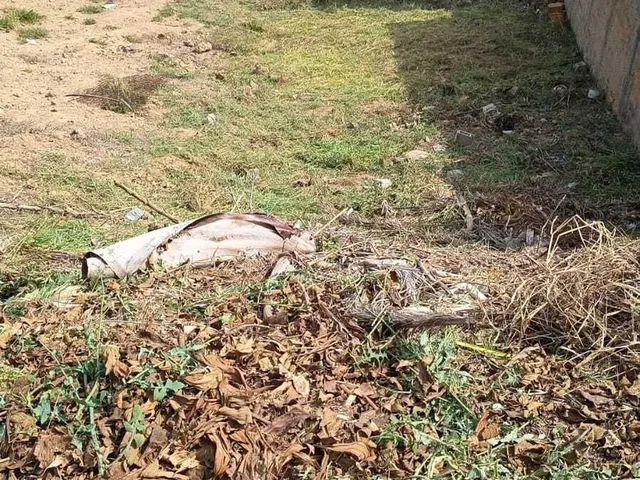 Imagem: Terreno à venda em Poços de Caldas/MG