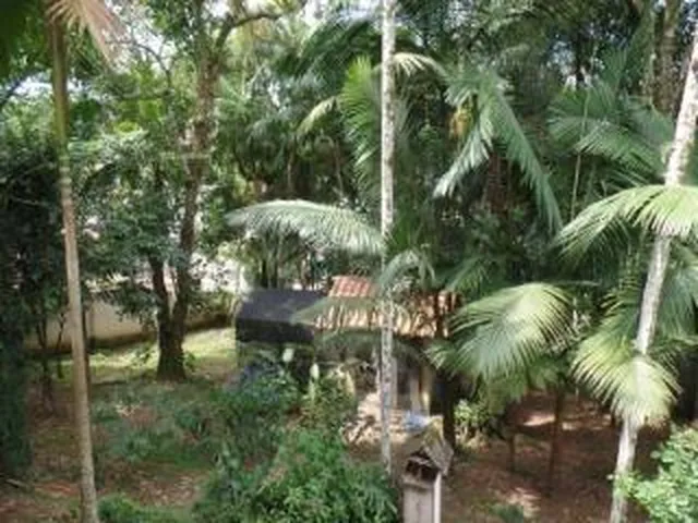 Imagem 9: Residência para locação em local tranquilo com súite + 2 dormitórios