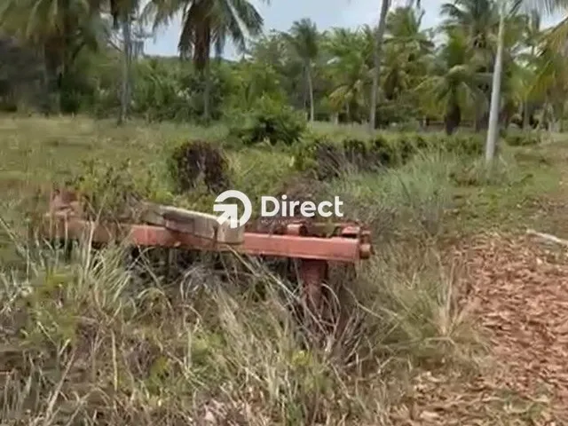Imagem 3: Terreno À Venda na Reserva do Paiva - Excelente Localização