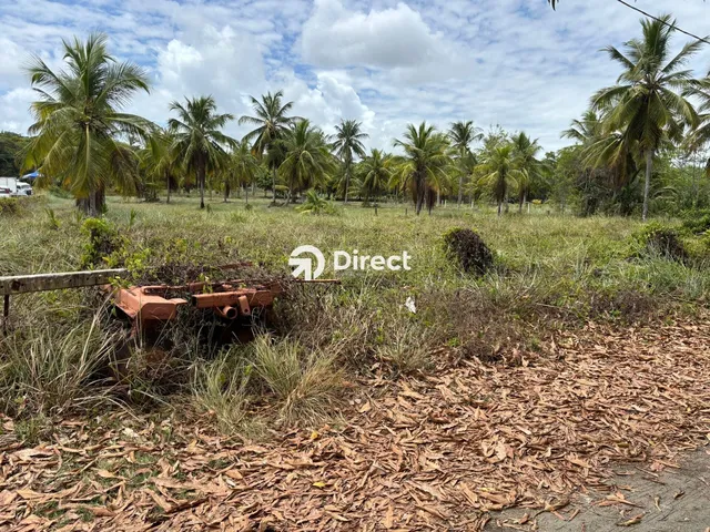 Imagem 5: Terreno À Venda na Reserva do Paiva - Excelente Localização