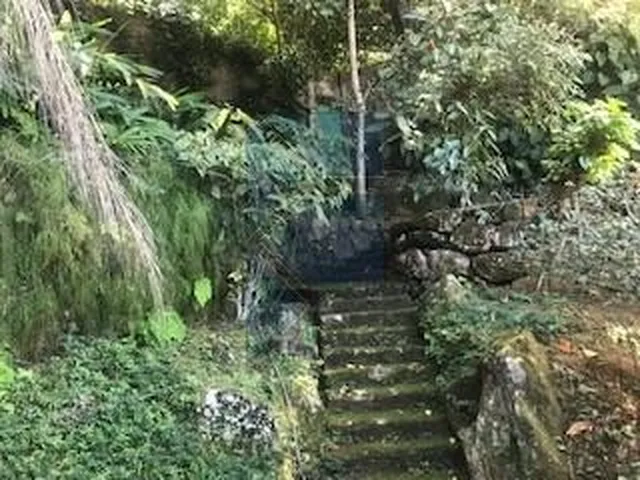 Imagem 16: Casa Jardim Botânico