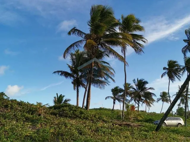 Imagem 2: Casa Térrea em massarandupio