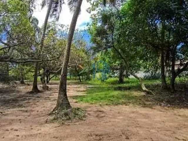 Imagem 16: Casa na Praia de Caraúbas - Casa Duplex na Praia de Caraúbas em Maxaranguape , Exelente Oportunidade