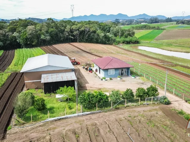 Imagem: CHACARA RURAL em SÃO JOSÉ DOS PINHAIS