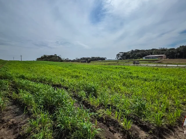 Imagem 8: CHACARA RURAL em SÃO JOSÉ DOS PINHAIS - PR, Malhada