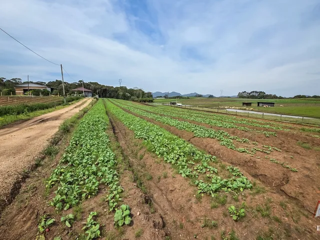 Imagem 4: CHACARA RURAL em SÃO JOSÉ DOS PINHAIS - PR, Malhada