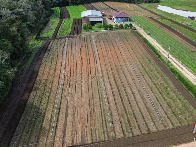 Imagem 16: CHACARA RURAL em SÃO JOSÉ DOS PINHAIS - PR, Malhada