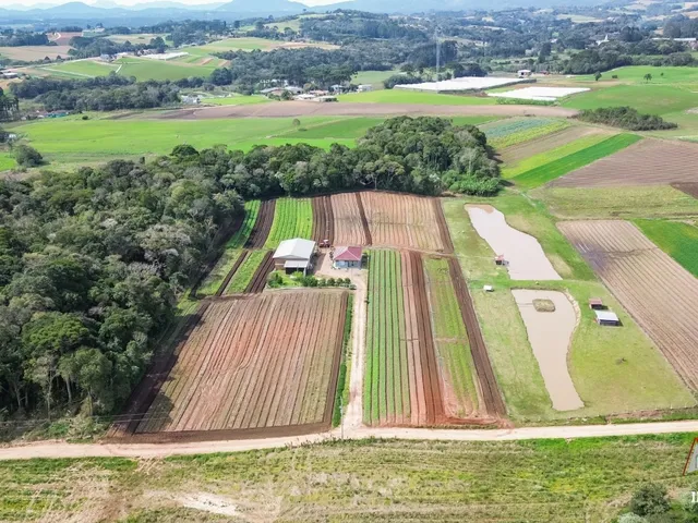 Imagem 14: CHACARA RURAL em SÃO JOSÉ DOS PINHAIS - PR, Malhada