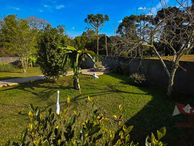 Imagem 7: Chácara a Venda