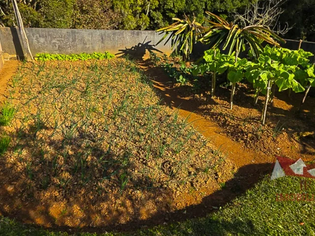 Imagem 3: Chácara a Venda