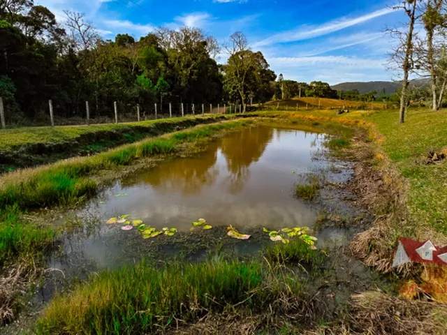 Imagem 2: Chácara a Venda