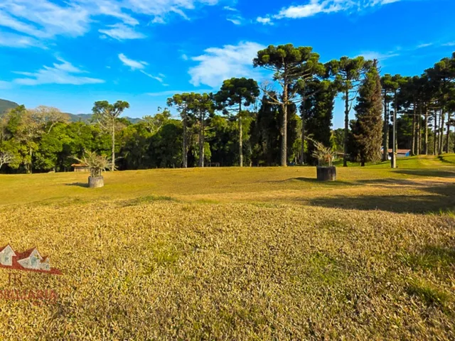 Imagem 10: Chácara a Venda
