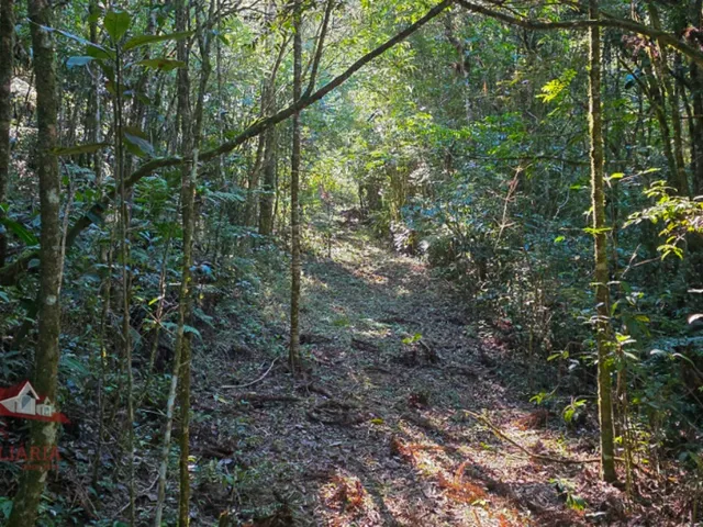 Imagem 4: Chácara a Venda