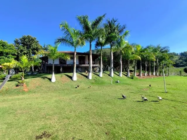 Imagem 4: SITIO RURAL em Caldas - Minas Gerais