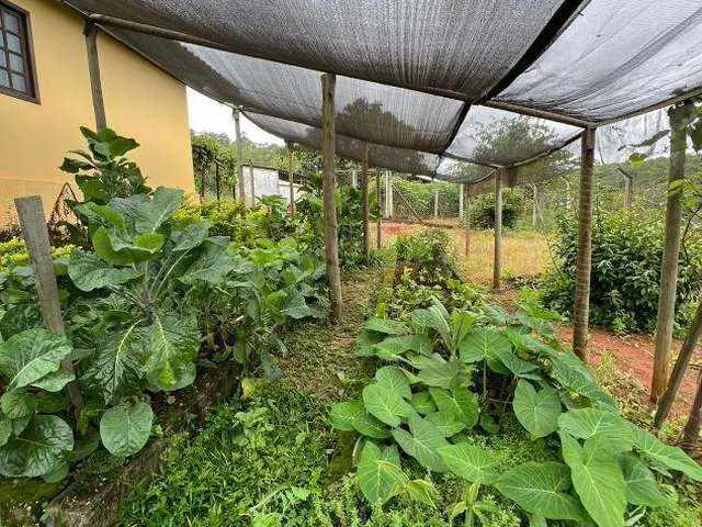 Imagem 7: SÍTIO À VENDA EM ITATIAIUÇU/MG - Área total de 40.000 m² (4 hectares)