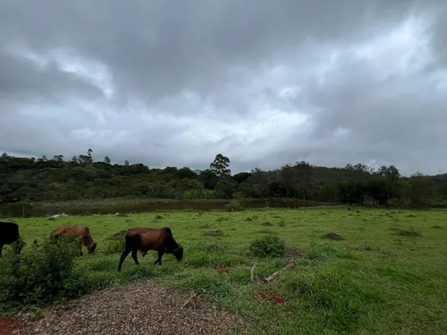 Imagem 9: SÍTIO À VENDA EM ITATIAIUÇU/MG - Área total de 40.000 m² (4 hectares)
