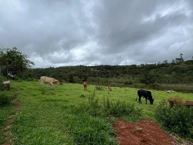 Imagem 11: SÍTIO À VENDA EM ITATIAIUÇU/MG - Área total de 40.000 m² (4 hectares)