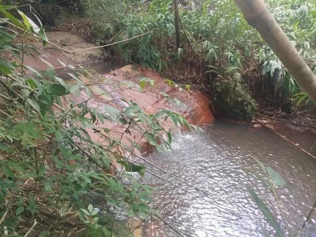 Imagem 8: Excelente sitio a venda em Brumadinho/MG - 6 hectares de terra