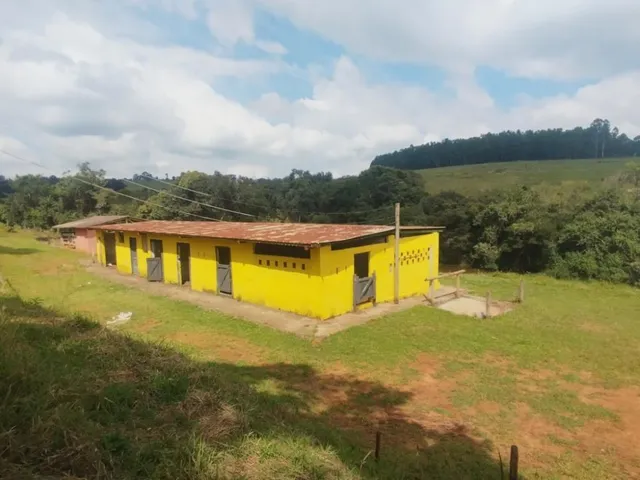 Imagem 12: Sítio espetacular a venda em Brumadinho/MG -10 hectares de terra