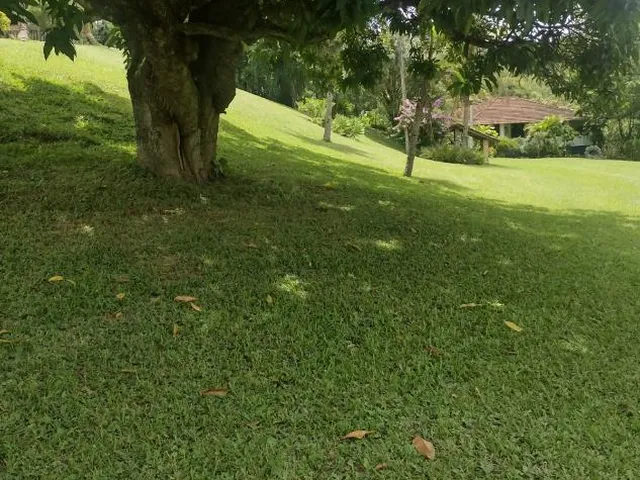 Imagem 6: Vendo lindo sítio/fazendinha com 27 hectares de terra, localizado próximo a