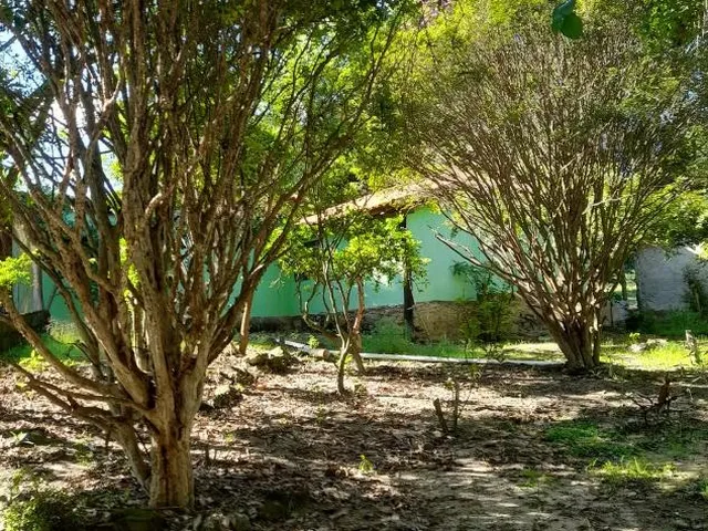 Imagem 2: Vendo Excelente Sítio em Bonfim/Mg ,Com 9 Hectares de Área Total (90.000 M²)