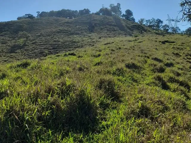 Imagem 3: Vendo Excelente Sítio em Bonfim/Mg ,Com 9 Hectares de Área Total (90.000 M²)