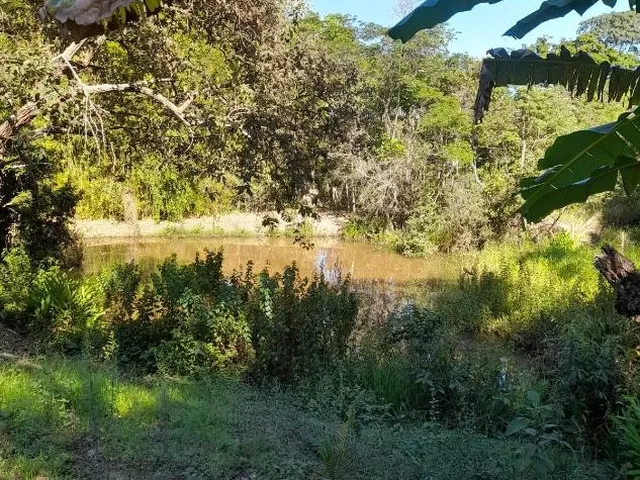 Imagem 6: Vendo Excelente Sítio em Bonfim/Mg ,Com 9 Hectares de Área Total (90.000 M²)