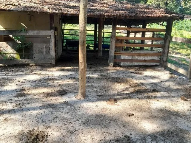 Imagem 7: Vendo Excelente Sítio em Bonfim/Mg ,Com 9 Hectares de Área Total (90.000 M²)