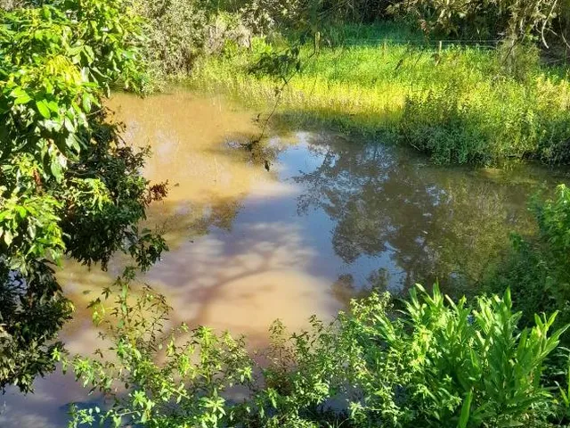 Imagem 9: Vendo Excelente Sítio em Bonfim/Mg ,Com 9 Hectares de Área Total (90.000 M²)
