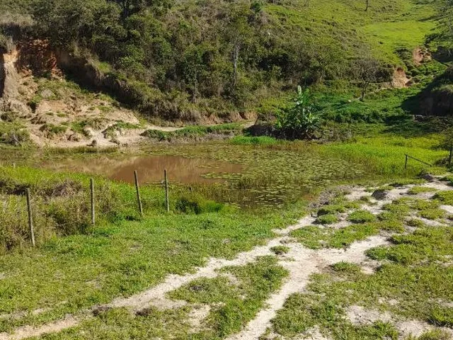 Imagem 13: Vendo Excelente Sítio em Bonfim/Mg ,Com 9 Hectares de Área Total (90.000 M²)