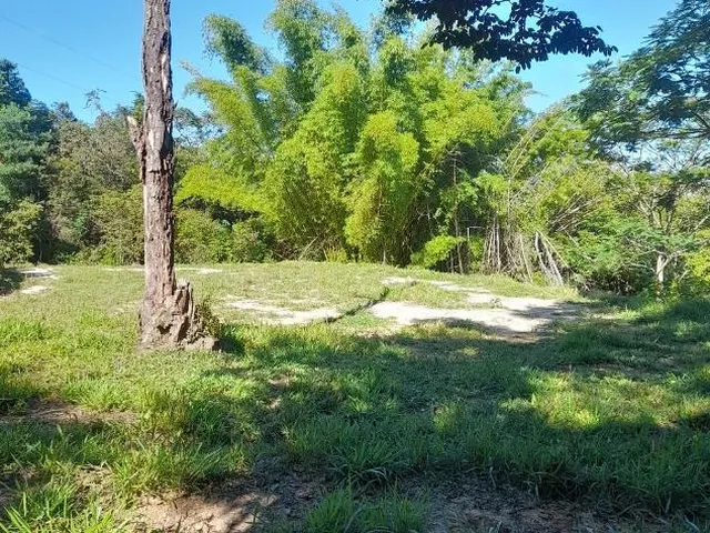 Imagem 11: Vendo Excelente Sítio em Bonfim/Mg ,Com 9 Hectares de Área Total (90.000 M²)
